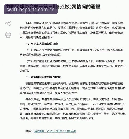 BSports稳定连接 中国足协第三批禁足名单公布,BSports官方深度解析行业整顿最新动态